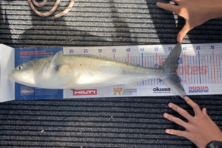 James Laird caught this 56.5cm Kahawai at Tasman Bay during The Hirepool Baitmates Fishing Comp