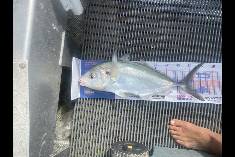 Adrian Eichmann caught this 50.5cm Trevally at BOI  during The Hirepool Baitmates Fishing Comp