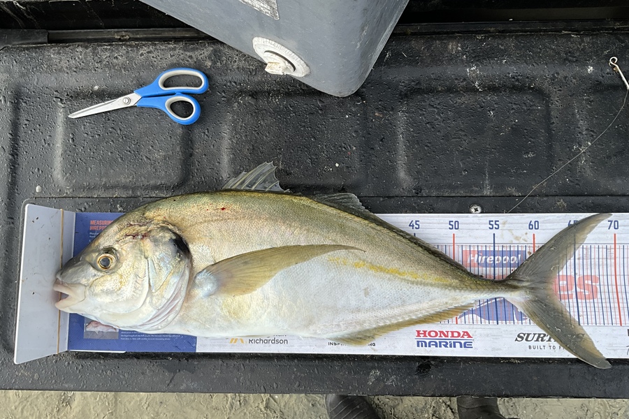 Stephen Heka caught this 62.0cm Trevally at Far North east coast  during The Hirepool Baitmates Fishing Comp
