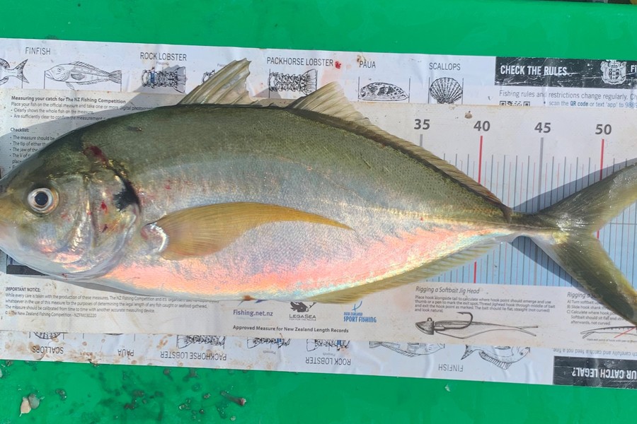 John Ra caught this 49.5cm Trevally at Houhora during The Hirepool Baitmates Fishing Comp
