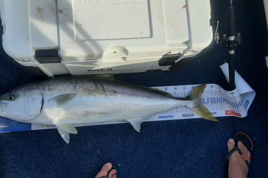 Fraser Gillespie caught this 104.0cm Kingfish at New plymouth  during The Hirepool Baitmates Fishing Comp