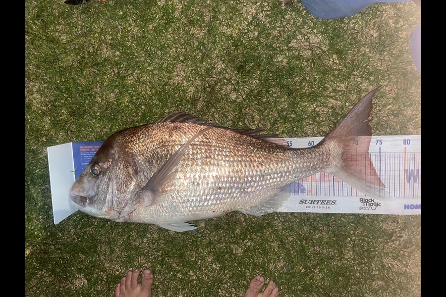Louis Tyrrell caught this 72.5cm Snapper at Taranaki during The Hirepool Baitmates Fishing Comp