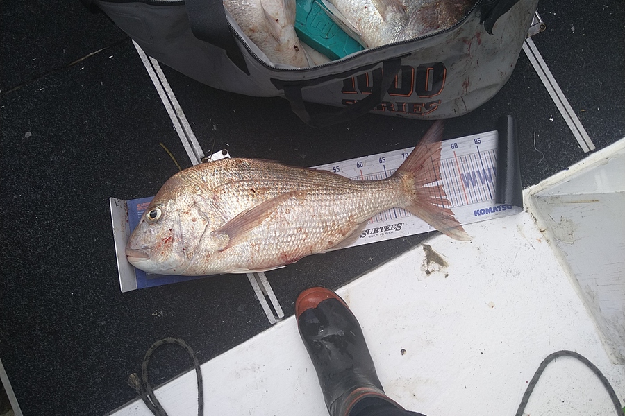 Heath Robinson caught this 76.0cm Snapper at Patea  during The Hirepool Baitmates Fishing Comp