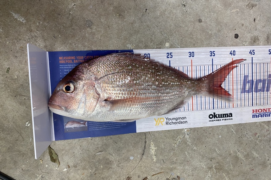 Jordan Froome caught this 37.0cm Snapper at Patea during The Hirepool Baitmates Fishing Comp