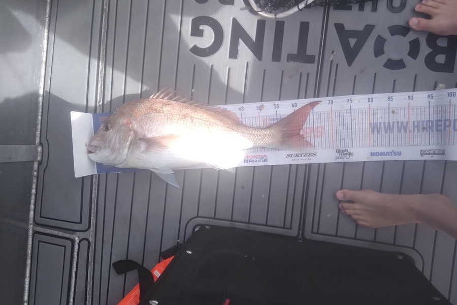 Ryan King caught this 61.0cm Snapper at Kawau island during The Hirepool Baitmates Fishing Comp