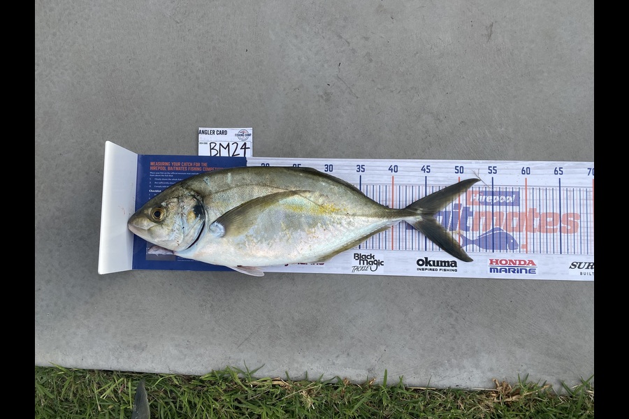 Ruby Boshier caught this 46.5cm Trevally at Coromandel during The Hirepool Baitmates Fishing Comp
