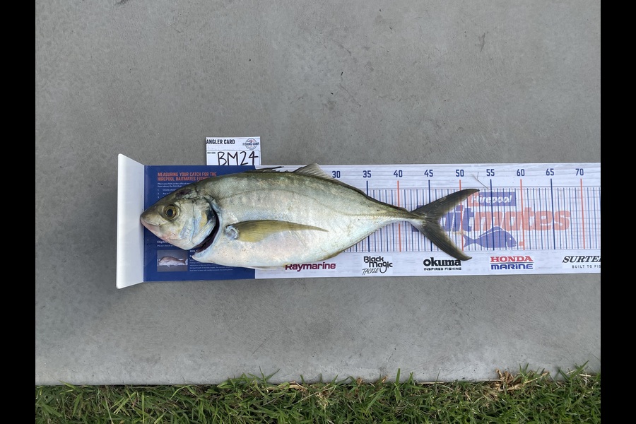 Joshua Hohaia caught this 46cm Trevally at Coromandel during The Hirepool Baitmates Fishing Comp