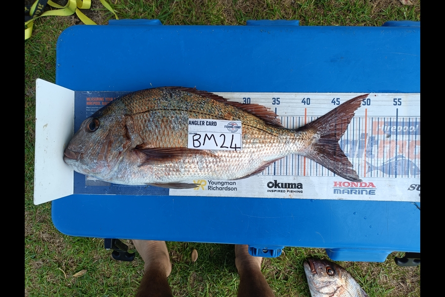 Joel Davies caught this 45.0cm Snapper at Northland during The Hirepool Baitmates Fishing Comp