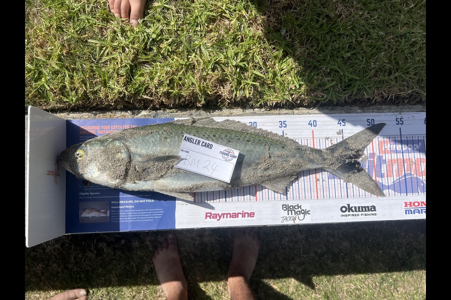 Sam Sargison caught this 47.0cm Kahawai at Bay of Plenty during The Hirepool Baitmates Fishing Comp
