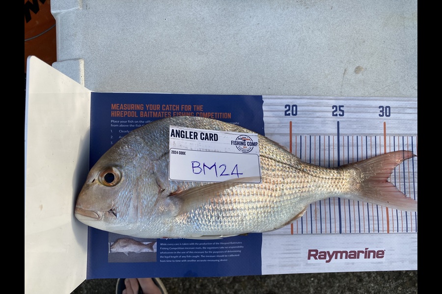 Andy Booth caught this 30.0cm Snapper at Waikato during The Hirepool Baitmates Fishing Comp