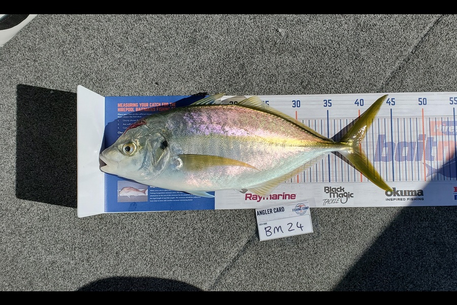 Simon Roberts caught this 40.0cm Trevally at Coromandel during The Hirepool Baitmates Fishing Comp
