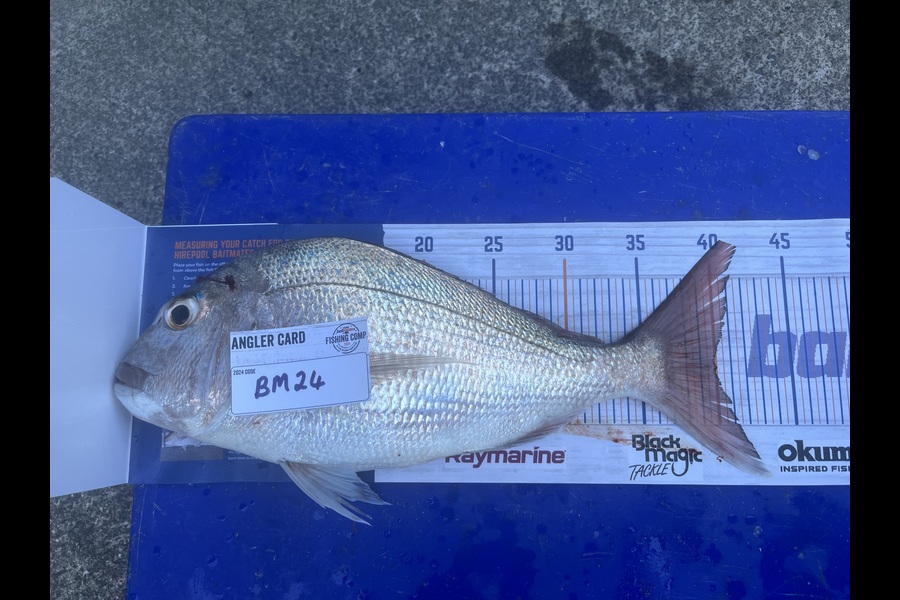 Carol Owens caught this 40.0cm Snapper at Northland during The Hirepool Baitmates Fishing Comp