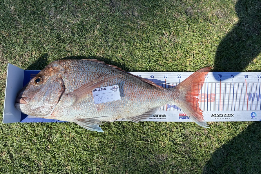 Ben Gilby caught this 62cm Snapper at Coromandel during The Hirepool Baitmates Fishing Comp