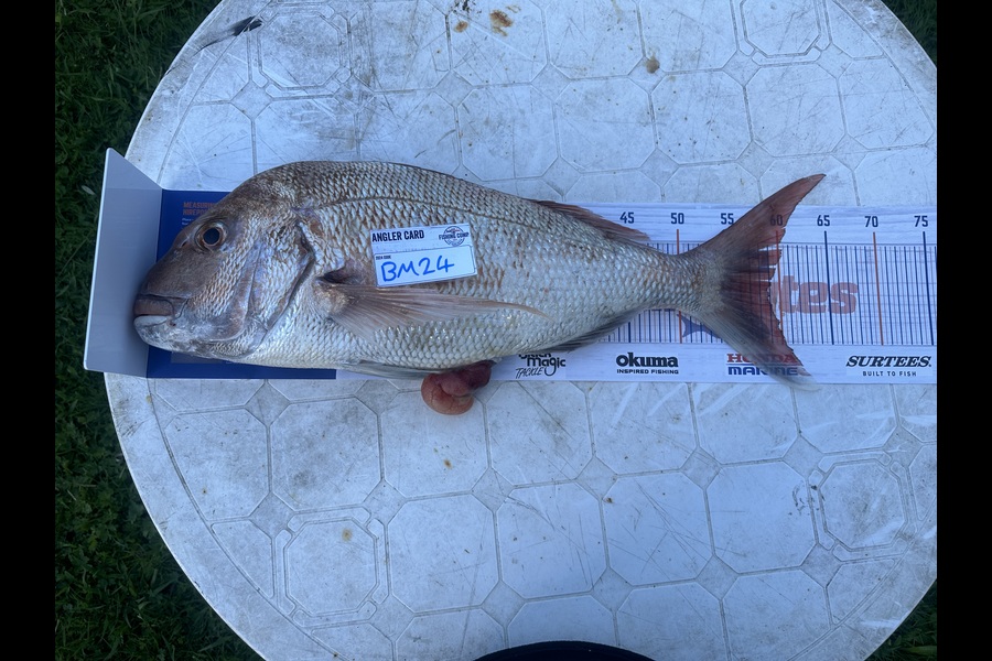 Jake Thorburn caught this 58.5cm Snapper at Coromandel during The Hirepool Baitmates Fishing Comp