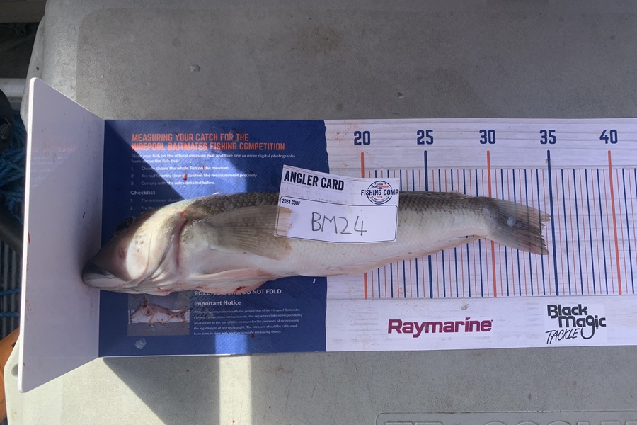 Carson Brown caught this 34.0cm Blue Cod at Nelson/Marlborough during The Hirepool Baitmates Fishing Comp