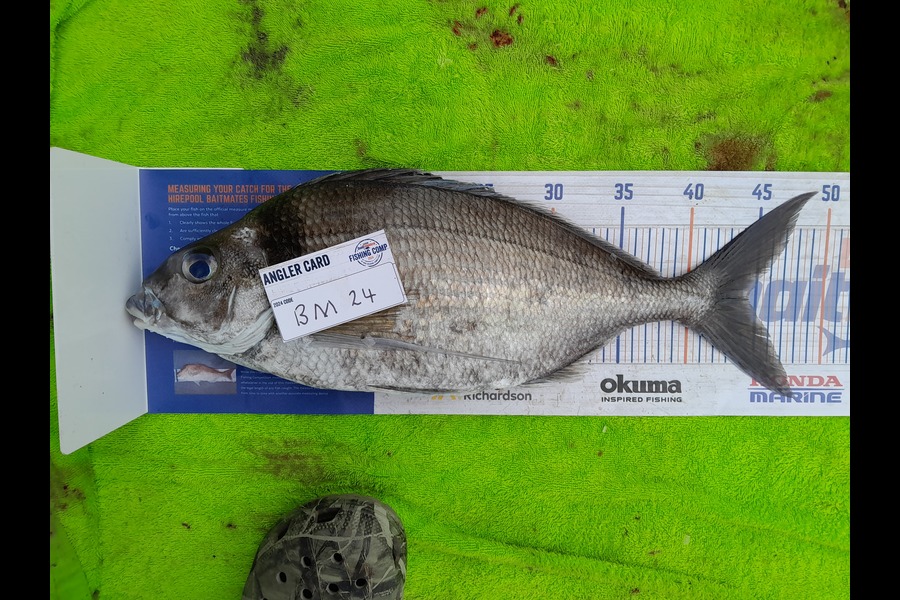 Chris Birch caught this 44.5cm Tarakihi at Fiordland during The Hirepool Baitmates Fishing Comp