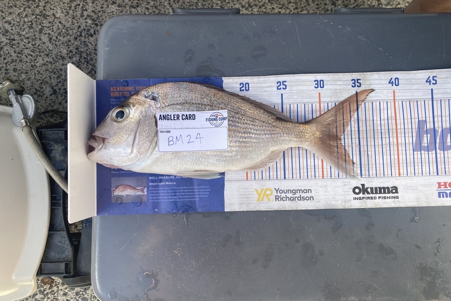 Spencer Dunstone caught this 32.5cm Snapper at Coromandel during The Hirepool Baitmates Fishing Comp