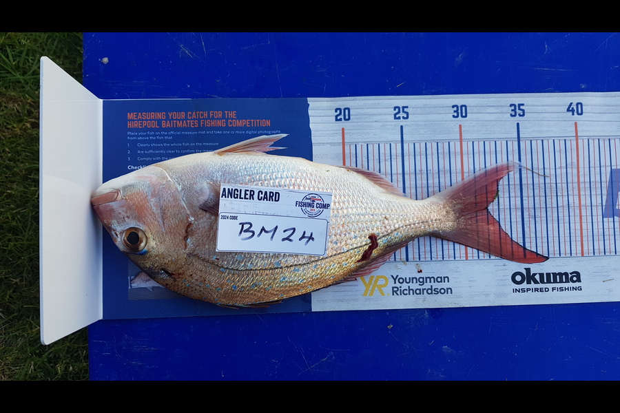 Craig Newland caught this 32.0cm Snapper at Coromandel during The Hirepool Baitmates Fishing Comp