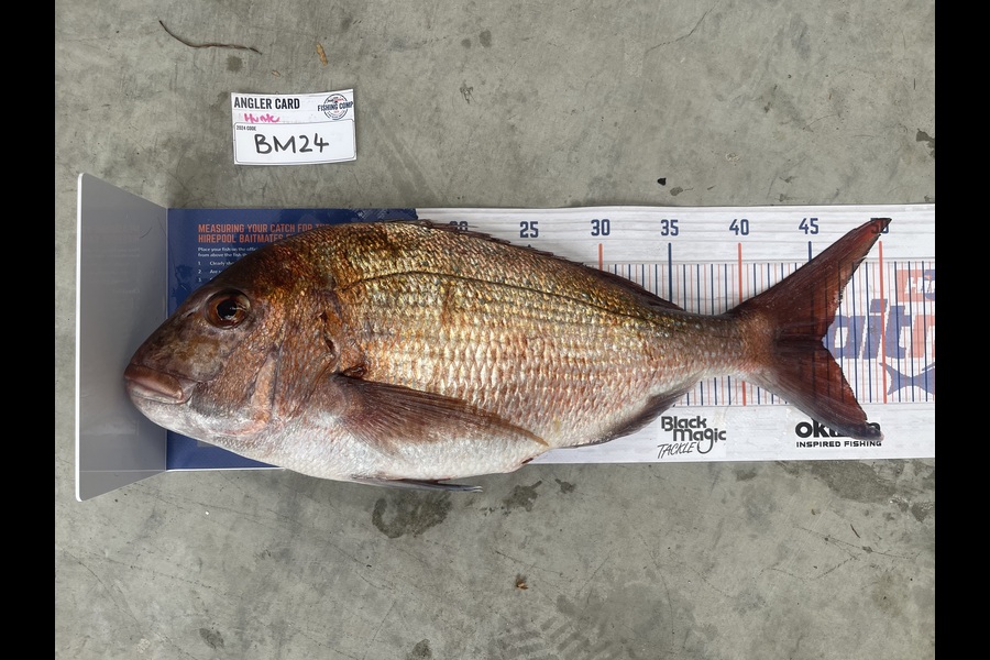 Hunter Russell caught this 45.5cm Snapper at Northland during The Hirepool Baitmates Fishing Comp