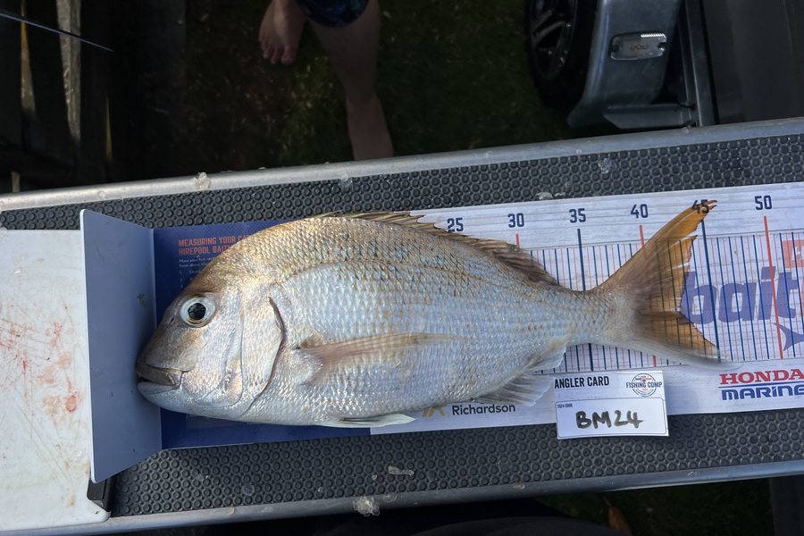 Lucy Barlow caught this 42.0cm Snapper at Coromandel during The Hirepool Baitmates Fishing Comp