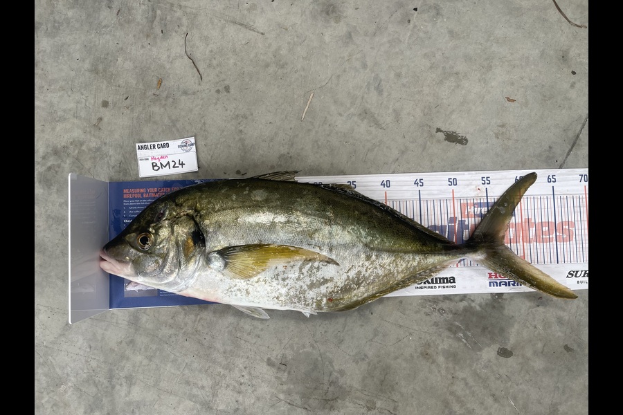 Kayden Russell caught this 57.0cm Trevally at Northland during The Hirepool Baitmates Fishing Comp