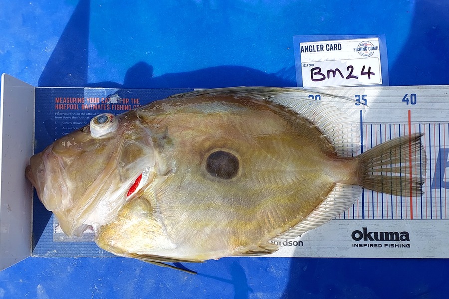 Barry  Howard caught this 40cm John Dory at Auckland during The Hirepool Baitmates Fishing Comp