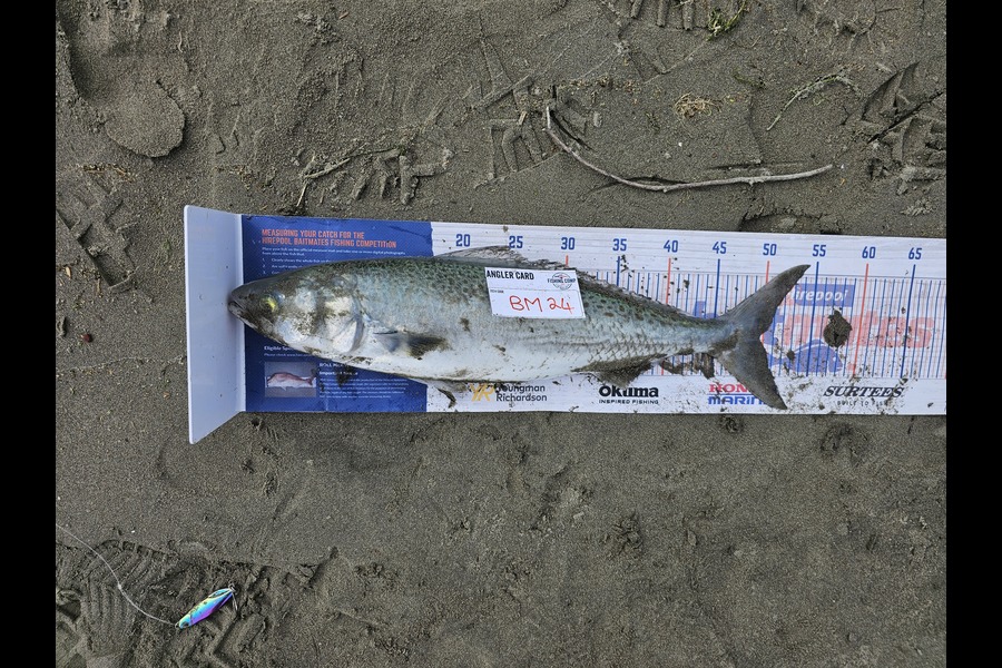 Wesley Skinner caught this 49.5cm Kahawai at Canterbury during The Hirepool Baitmates Fishing Comp