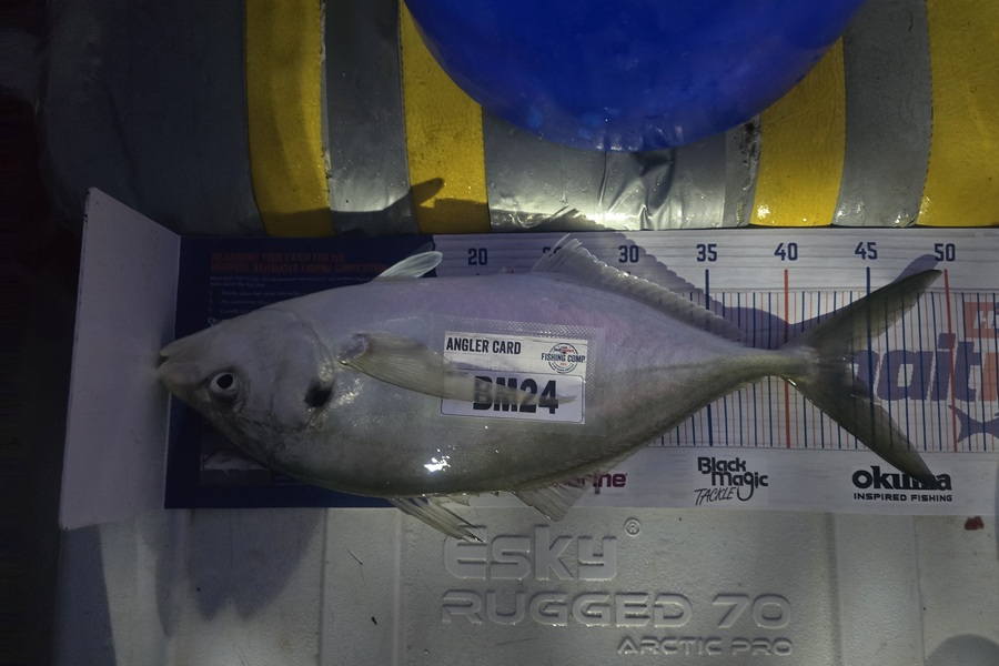 Frazer Hope caught this 43.5cm Trevally at Bay of Plenty during The Hirepool Baitmates Fishing Comp