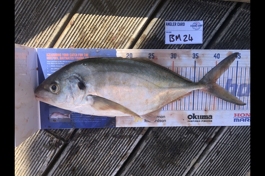 Andrew Froome caught this 40.0cm Trevally at Taranaki during The Hirepool Baitmates Fishing Comp