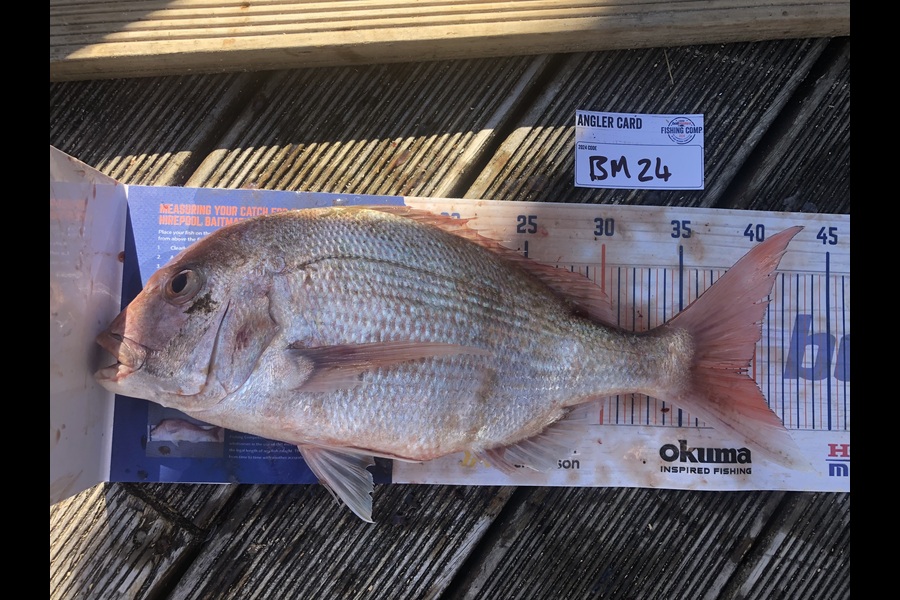 Jordan Froome caught this 39.0cm Snapper at Taranaki during The Hirepool Baitmates Fishing Comp