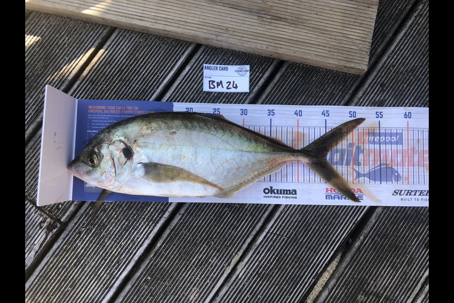 Jordan Froome caught this 44.5cm Trevally at Taranaki during The Hirepool Baitmates Fishing Comp