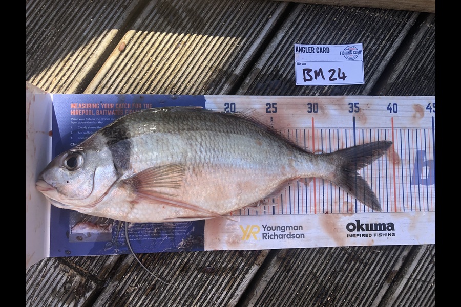 Jordan Froome caught this 35.0cm Tarakihi at Taranaki during The Hirepool Baitmates Fishing Comp