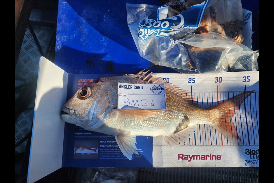 Carl Hine caught this 32cm Snapper at Coromandel during The Hirepool Baitmates Fishing Comp