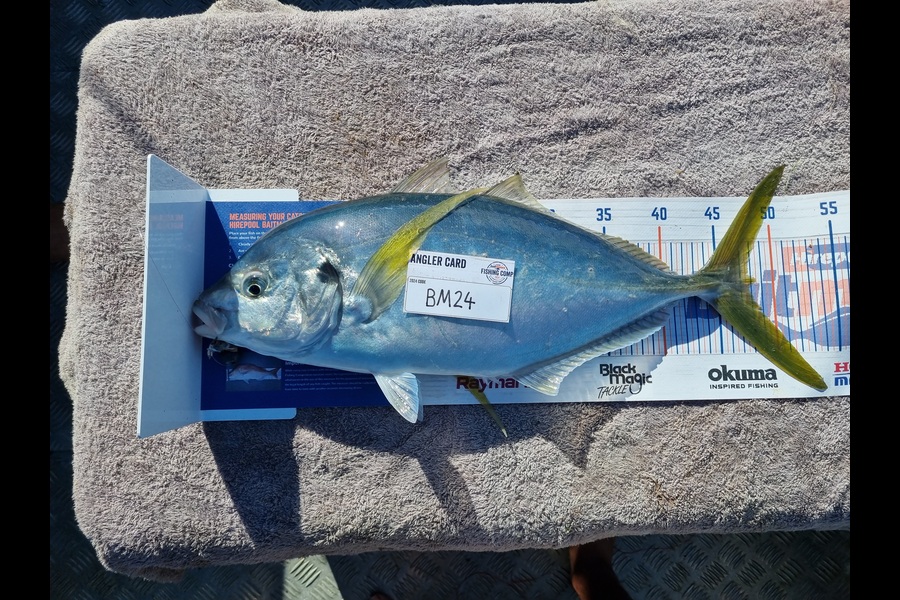 Jayden Emtage caught this 48.0cm Trevally at Northland during The Hirepool Baitmates Fishing Comp
