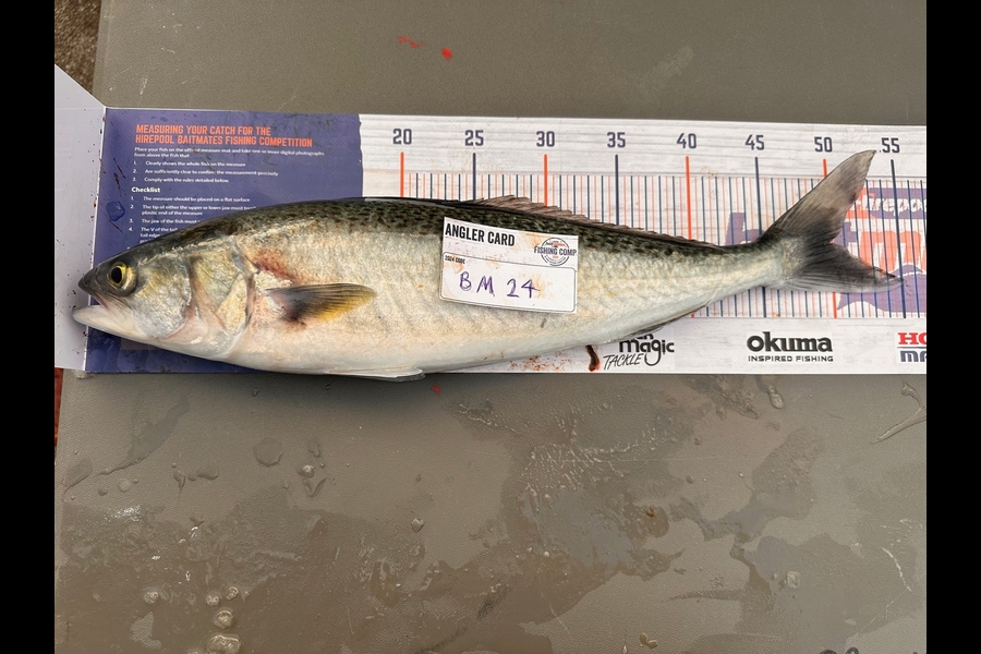 Billy Boylen caught this 50.0cm Kahawai at Bay of Plenty during The Hirepool Baitmates Fishing Comp
