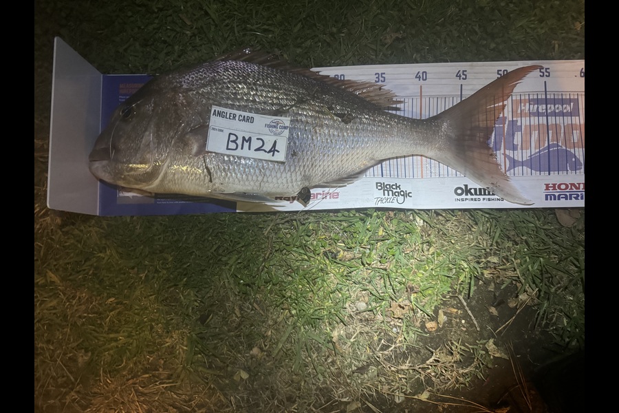 Cameron Coxhead caught this 48.0cm Snapper at Coromandel during The Hirepool Baitmates Fishing Comp