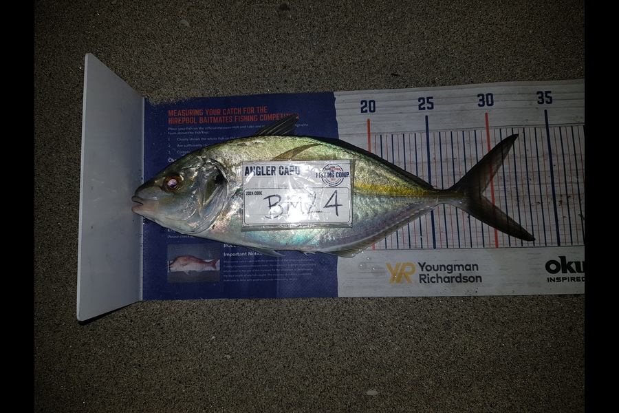 Cullim McVeigh caught this 29.0cm Trevally at Bay of Plenty during The Hirepool Baitmates Fishing Comp