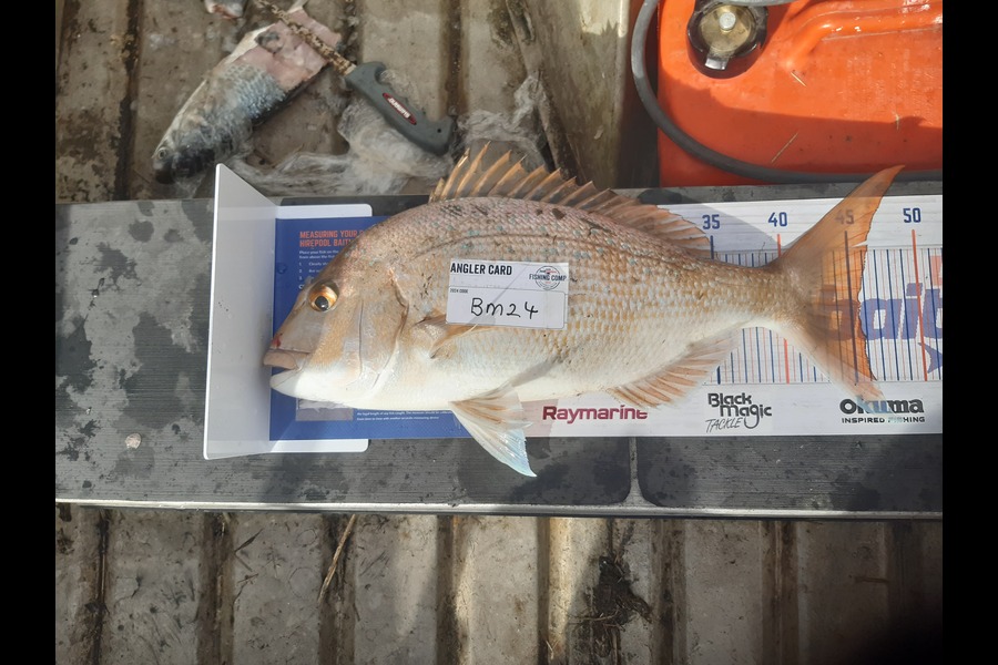 Clinton Emtage caught this 45.5cm Snapper at Northland during The Hirepool Baitmates Fishing Comp