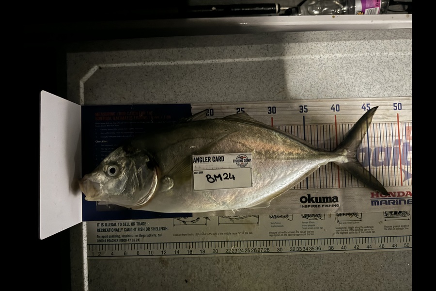Melanie Bethell caught this 42.5cm Trevally at Bay of Plenty during The Hirepool Baitmates Fishing Comp