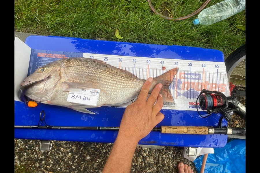 tama morgan caught this 47cm Snapper at Northland during The Hirepool Baitmates Fishing Comp