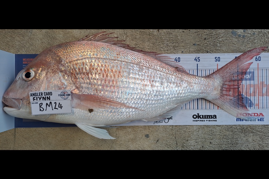 Flynn Pemberton caught this 55cm Snapper at Waikato during The Hirepool Baitmates Fishing Comp