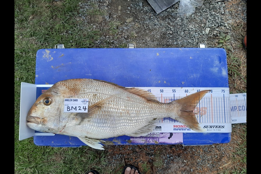 Jose Broughton caught this 62.0cm Snapper at Northland during The Hirepool Baitmates Fishing Comp