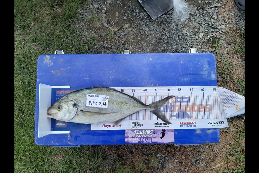 Jose Broughton caught this 45.5cm Trevally at Northland during The Hirepool Baitmates Fishing Comp