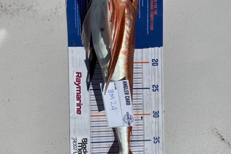 Zachary McCallum caught this 44.0cm Gurnard at Manawatu during The Hirepool Baitmates Fishing Comp