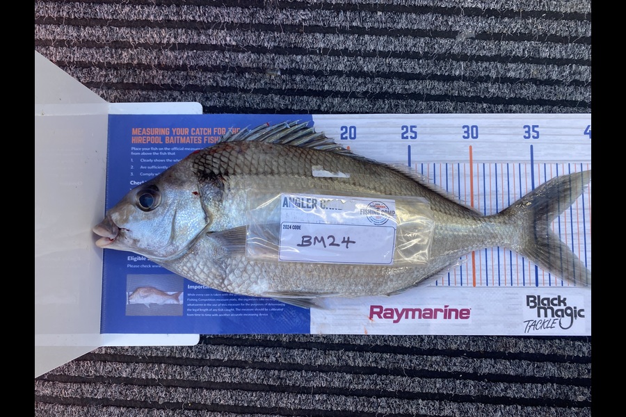Rodney Owen caught this 36.0cm Tarakihi at Wellington during The Hirepool Baitmates Fishing Comp