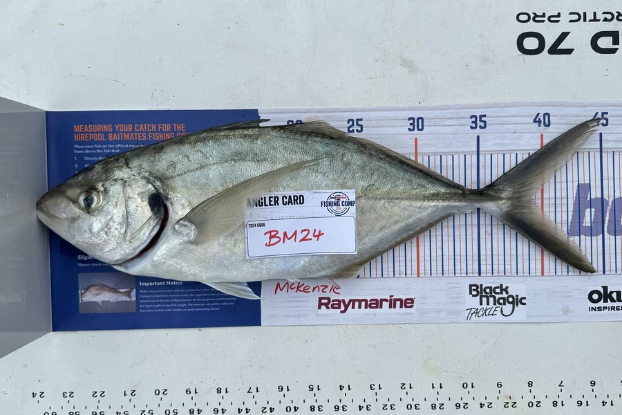 Brooklyn McKenzie caught this 39.0cm Trevally at Bay of Plenty during The Hirepool Baitmates Fishing Comp