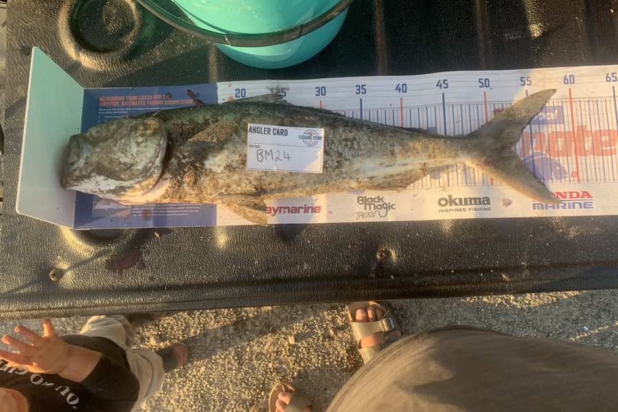 George Larkins caught this 52.5cm Kahawai at Bay of Plenty during The Hirepool Baitmates Fishing Comp