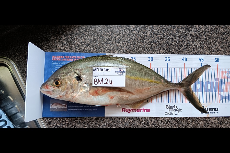 Jesse Lusby caught this 41.5cm Trevally at Waikato during The Hirepool Baitmates Fishing Comp