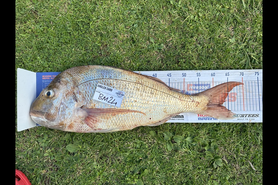 Liam Bremner caught this 62.5cm Snapper at Coromandel during The Hirepool Baitmates Fishing Comp