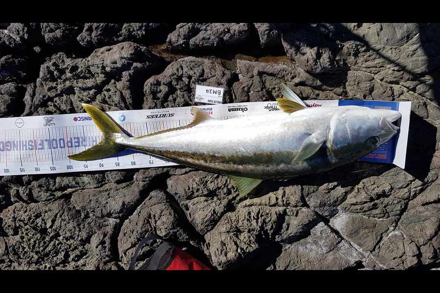 Carlana White caught this 88cm Kingfish at East Cape during The Hirepool Baitmates Fishing Comp
